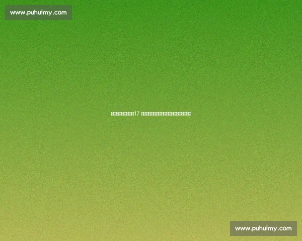 佩蒂特盛赞亚马尔：17 岁超新星比同龄梅西更耀眼，足坛新标杆诞生