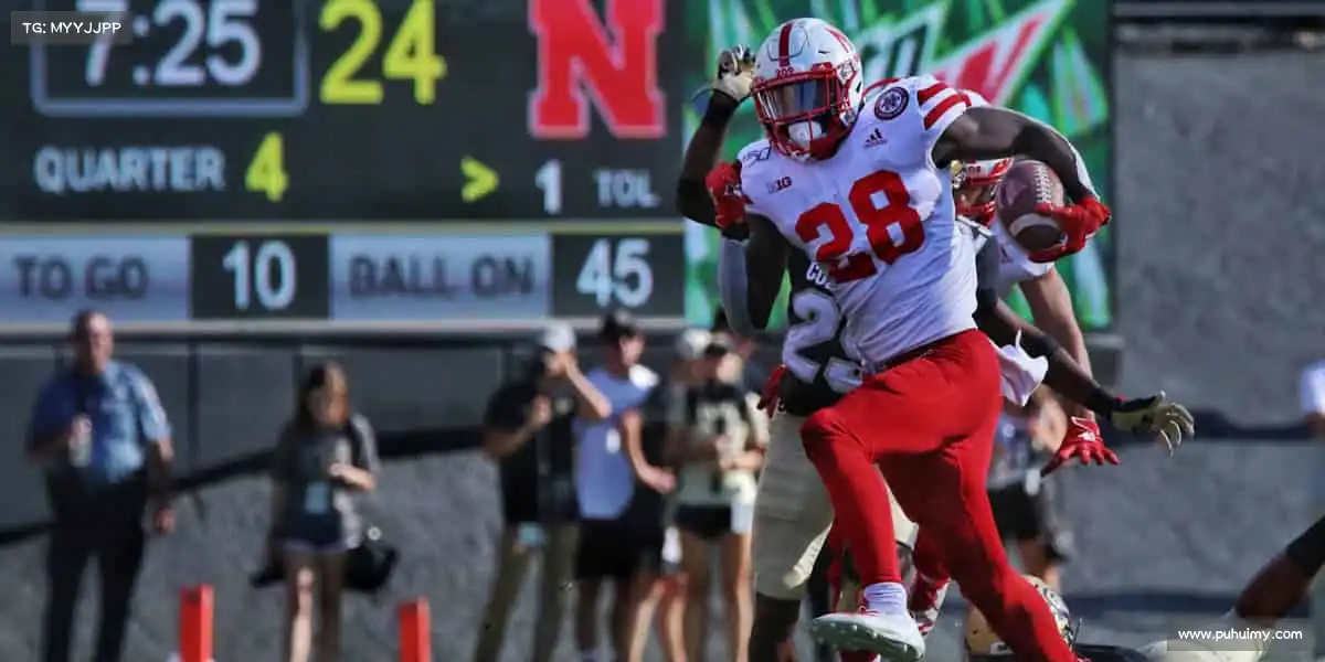 行业领先的理由